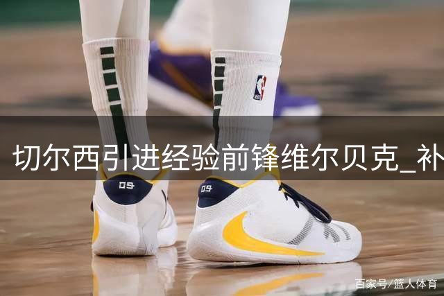 切尔西引进经验前锋维尔贝克 补强锋线实力